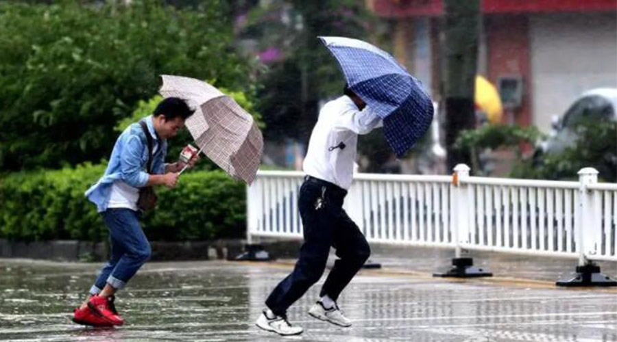 9號臺風“馬鞍”生成！金環(huán)電器提醒大家要注意的事項