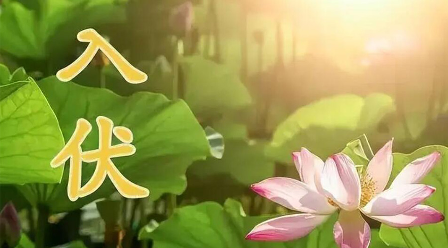 入伏天來襲！金環(huán)電器提醒大家要注意的事項(xiàng)