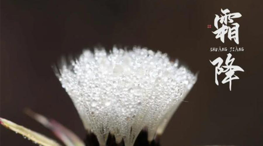 霜降時節(jié)！金環(huán)電器提醒大家要注意的事項