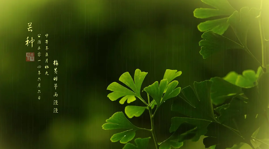 芒種時節(jié)！金環(huán)電器提醒大家的注意事項