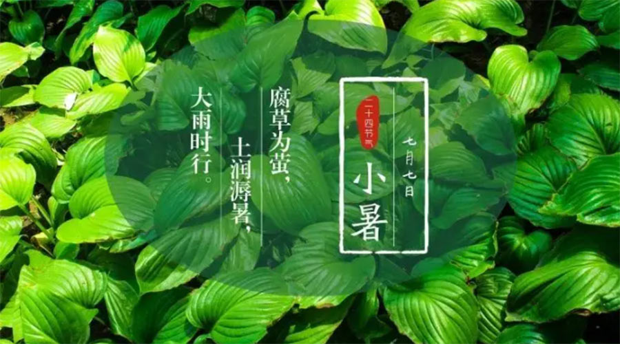 小暑時節(jié)來到！金環(huán)電器提醒大家要注意的事項