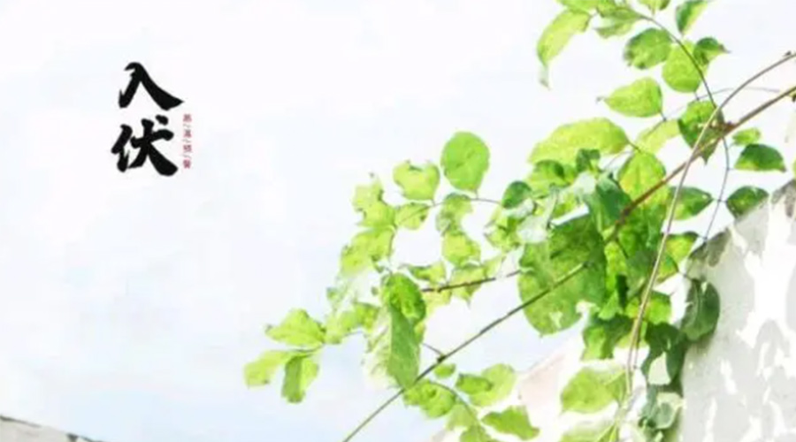 初伏時(shí)節(jié)！金環(huán)電器提醒大家要注意的事項(xiàng)