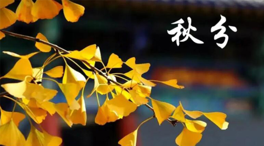 秋分時節(jié)！金環(huán)電器提醒大家要注意的事項(xiàng)